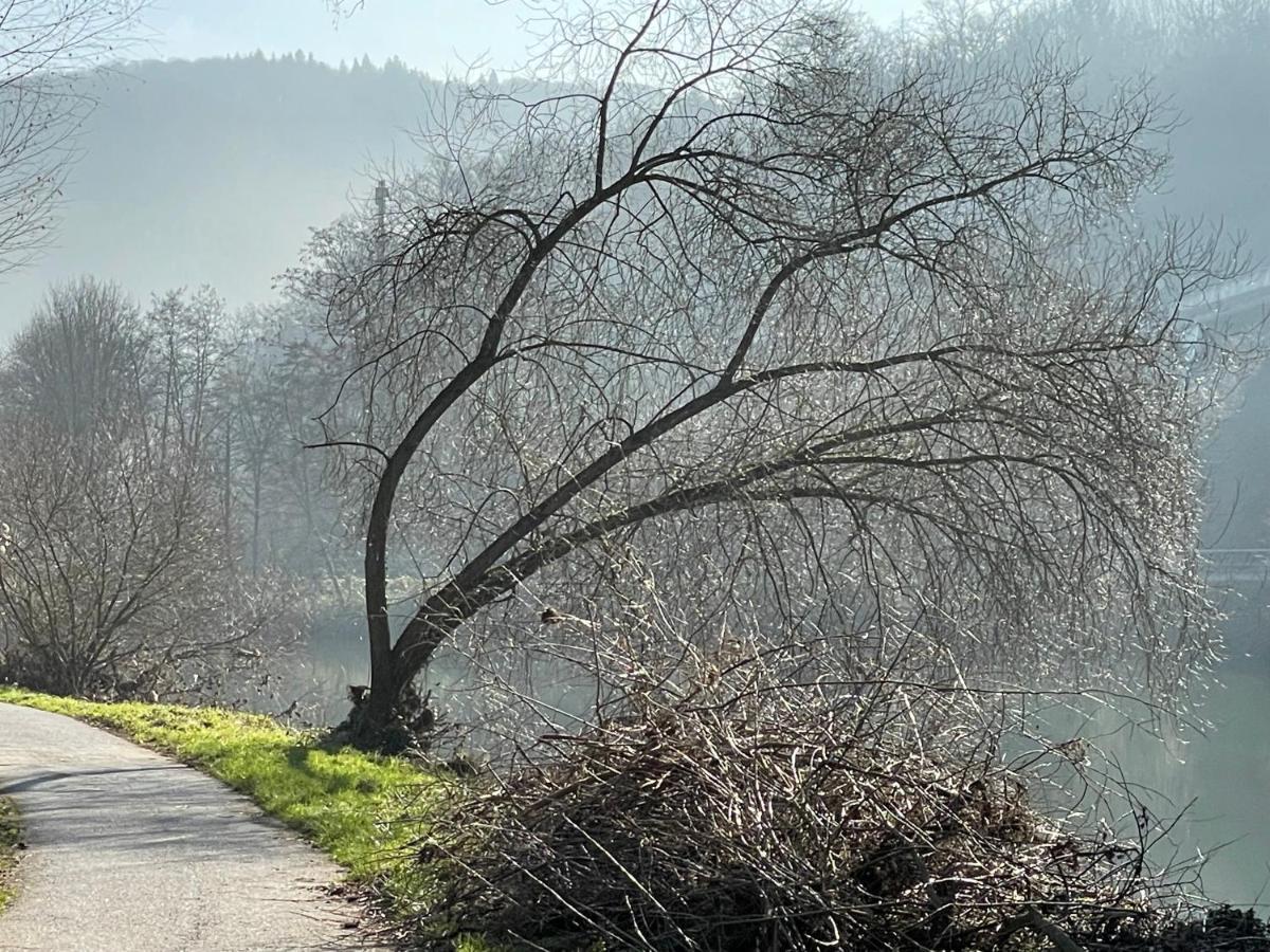 Ferienwohnung Bei Bad Ems Im Lahntal Fachbach Exterior foto